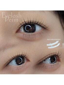 ウワプラス(UWA+)/まつ毛パーマ