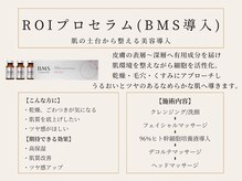 ロイボーテ(ROI Beaute)/ ROIプロセラム(BMS導入)