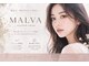 アイラッシュマルヴァ(Eye Lash Malva)の写真