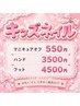 【キッズネイル】フットワンカラー＋シールのせ放題4500円（小学生まで）