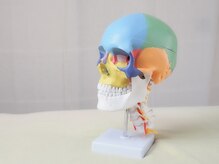 ムーンシード/頭蓋骨がズレると体調不良に！