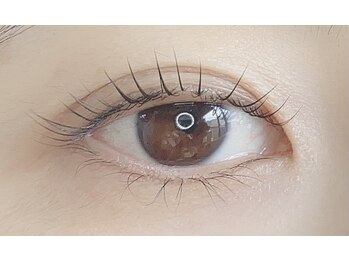 エルア(Beauty Salon Elua)/ラッシュリフト