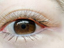 ザシーアイラッシュ 海老名(The C eyelash)/ボリュームラッシュ《シアー》