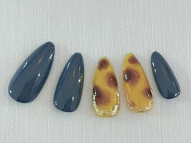 今月のデザイン