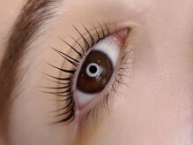 ソファー 国分寺(sofa)/パリジェンヌラッシュリフト