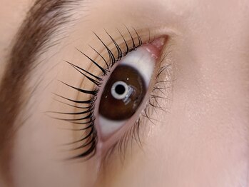 ソファー 国分寺(sofa)/パリジェンヌラッシュリフト