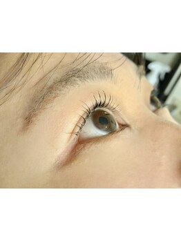 初めての方にオススメ