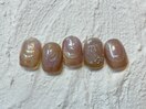 ★選べる定額¥8800