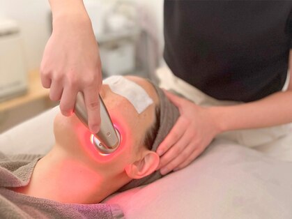 アワ(awa)の写真