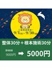 ９月施術体験会★30分＋根本施術30分￥9000→￥5000