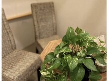 あてやか