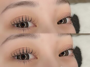 ルクレ 相模原(Le Cre)/フラットラッシュ120本