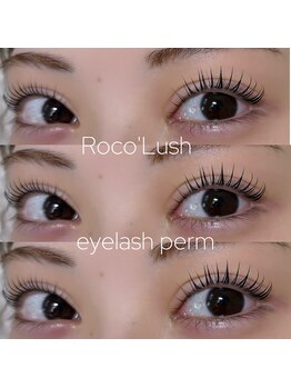 ロコラッシュ 横浜店/まつげパーマ/パリジェンヌ/LED