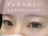 【アンドヘルシー】フラットラッシュ【エレガント】160～180本 ¥11,520