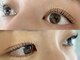 ツムグ(tsumugu)の写真