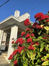 マナティ(ManaTi)/