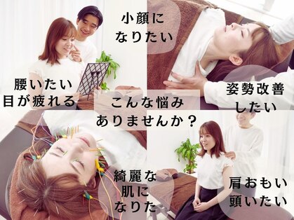 ダズル(DAZZLE)の写真