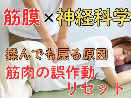 ニシノ スタイル カイロアンドパーソナルトレーニング(NISHINO STYLE)の写真