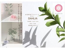 ダリア(DAHLIA)