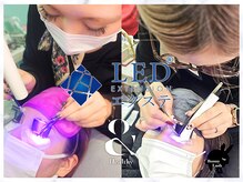 バニーラッシュ(Bunny Lash)/【LEDマツエク】