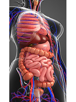 ザ スパ ゲンズブール/