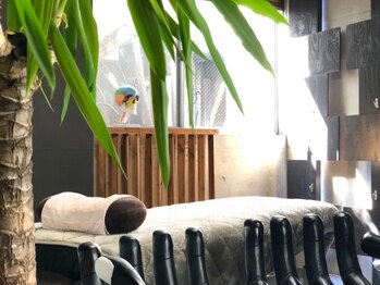 ベアフット(BARE FOOT)/自由が丘の隠れ家サロン