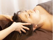 パピヨン(papillon)/頭蓋骨矯正