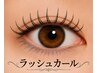 【人気No.5】ラッシュカール