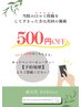 【口コミクーポン500円OFF】