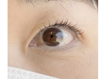 ラシェスキタモト (luscius kitamoto)/カールデザイン♪