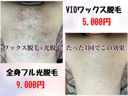 パル(Pal)の写真