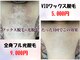 パル(Pal)の写真