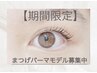 【期間限定!練習モデル募集】上下まつげパーマ ¥11000→¥7000