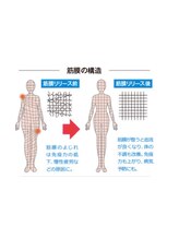 salon結(yui)/筋膜の仕組み