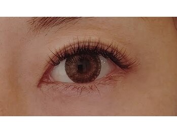 カーム(CALM)/バインドロック　100束