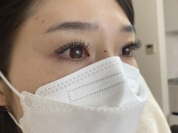 パレット(Palette)/フラットマットラッシュ太さ0.2