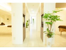 ル プランタン 難波店/サロン内