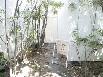 アリッチ 岡崎店(a.Rich)/緑を抜けると入り口がございます