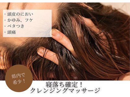 フーラ(B.hoola)の写真