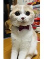 森家 綱島店 私の愛猫クオレです(*^^*)こんな顔してちょーツンデレ君(≧∀≦)