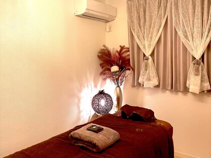 ステラ(Stella)の写真