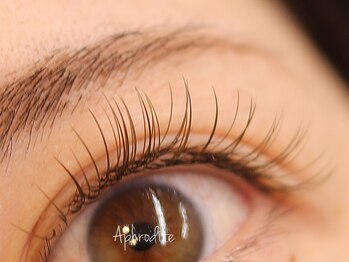 アフロデイーテ(Aphrodite)/Brown Flat Lash