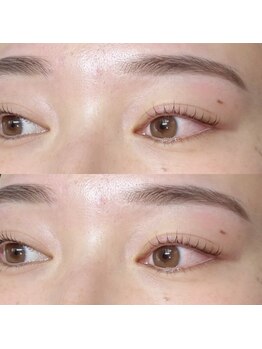 モンスターネイルズ(MONSTER NAiLS)/アイブロウ×まつげパーマ