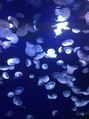 あすはれ 水族館は定期的に行きたくなるくらい好きな場所です!