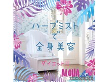 ヨサパーク ウィッチハウス 西船橋店(YOSAPARK witch house)