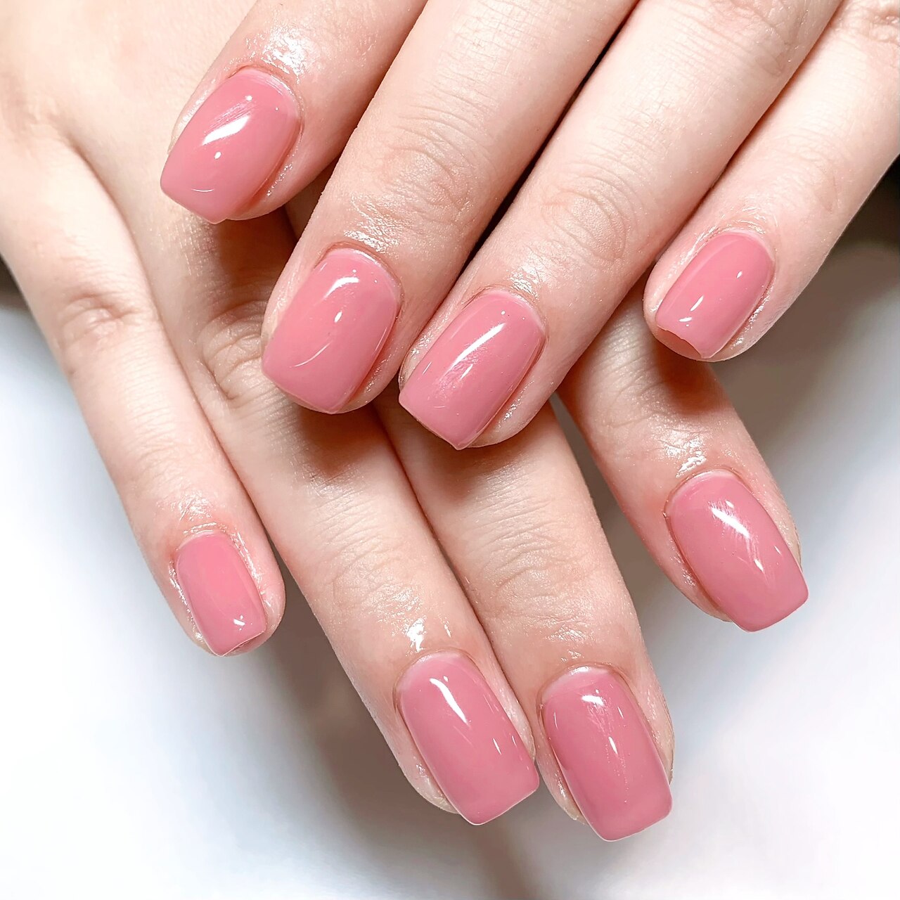 【hand】ワンカラー\5500