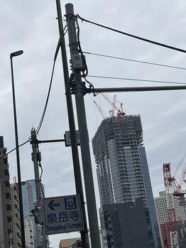 サクラ(Sakura)/サクラのてくてく散歩