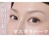 【マスカラパーマ】★パリジェンヌ+マスカラ★ 1ヶ月マスカラ要らず!¥6000