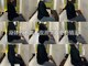 カイロプラクティック×整体院 錦コレクトの写真