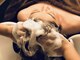ザ ヘッドスパ トウキョウ ハラジュク(The Head Spa Tokyo Harajuku)の写真/頑張った自分にご褒美を。落ち着いた雰囲気の中でプロによるヘッドスパを♪
